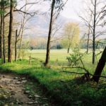 EB 203 appalachian trail